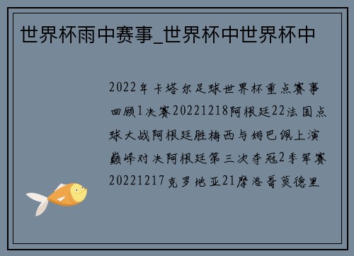 世界杯雨中赛事_世界杯中世界杯中